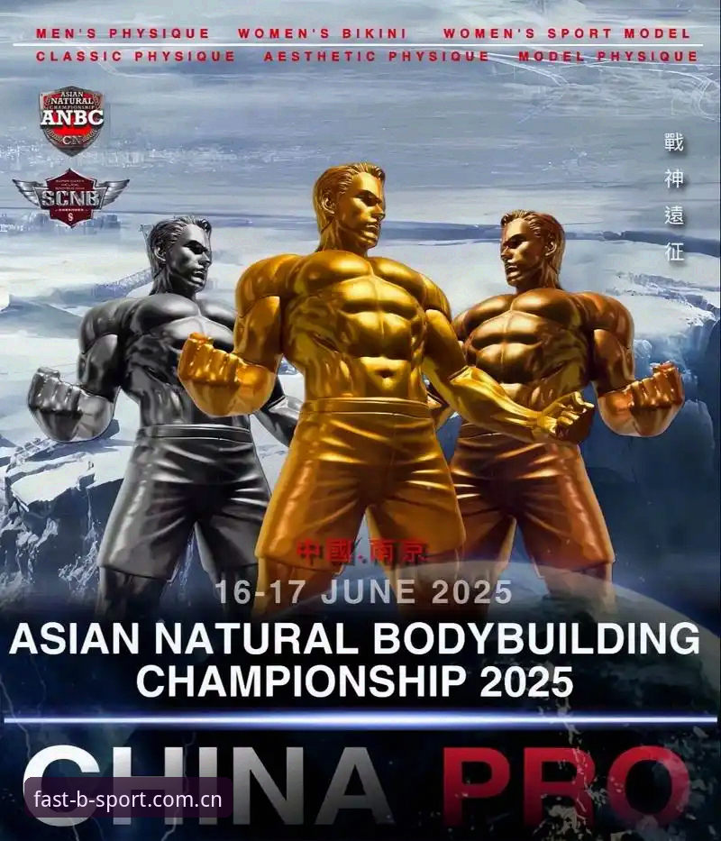 B体育官方平台2025新版上线，bsport2025验证手机版操作全流程最新动态